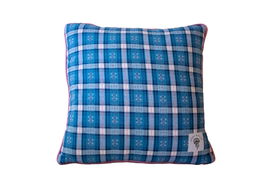 BLUE & PINK PILLOW